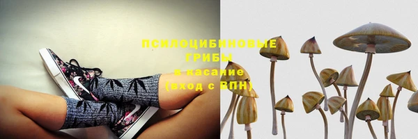 стафф Алексеевка